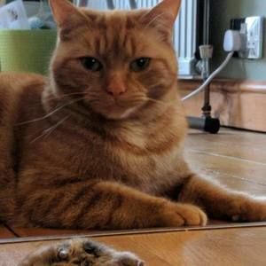 Meet your Posher, Beverly